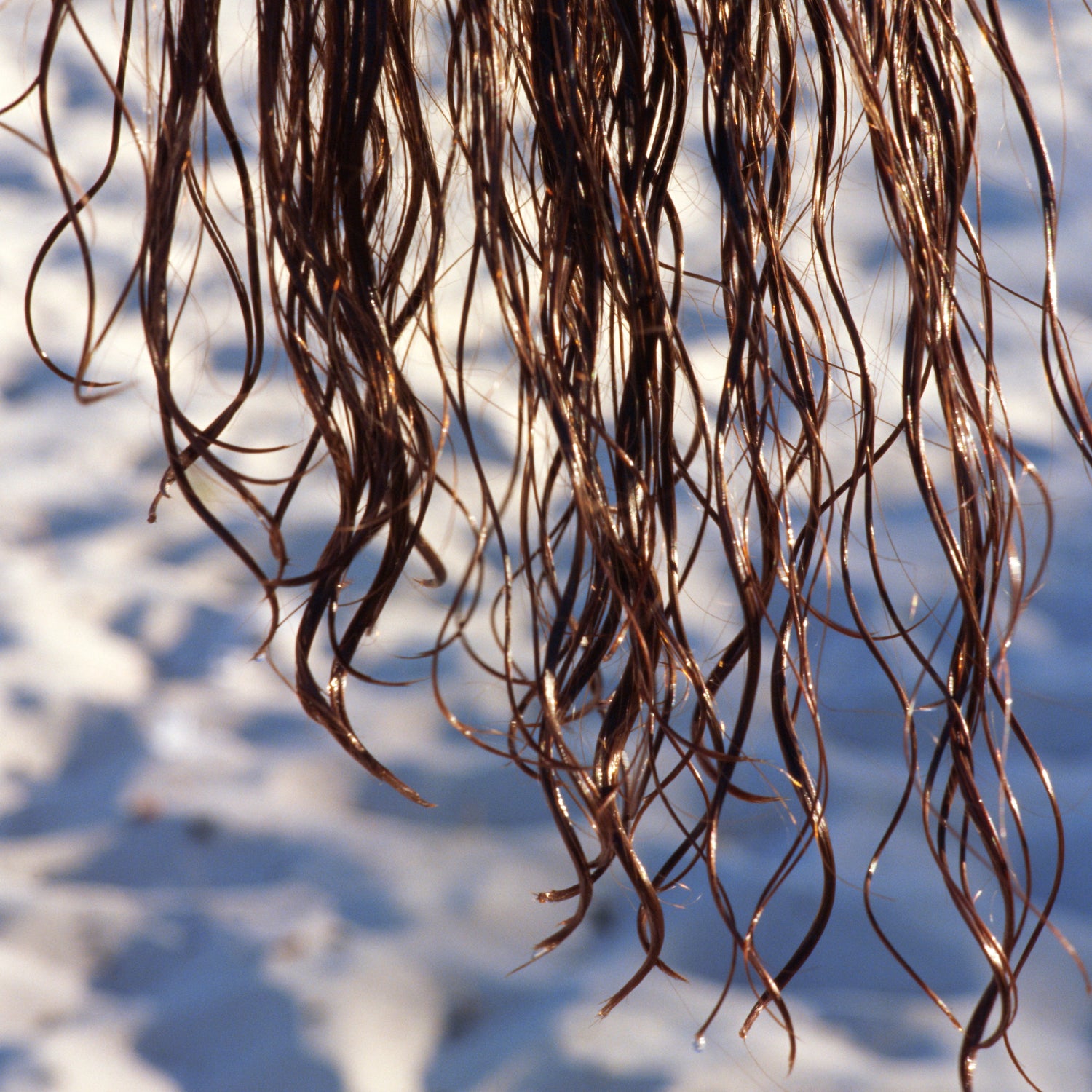 Les dangers de laisser vos cheveux mouillés : Pourquoi Il est important de les sécher.